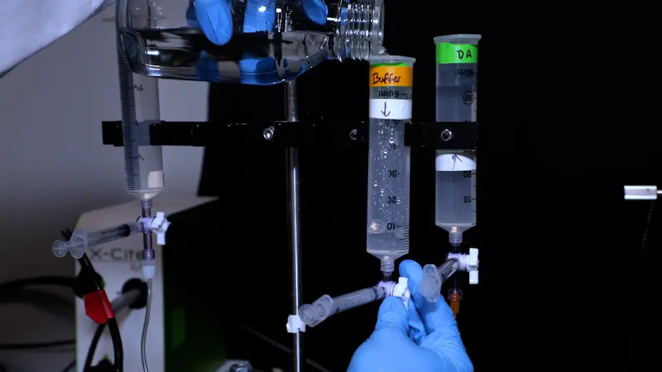 Automated Multimodal Stimulation and Simultaneous Neuronal Recording from Multiple Small Organisms
