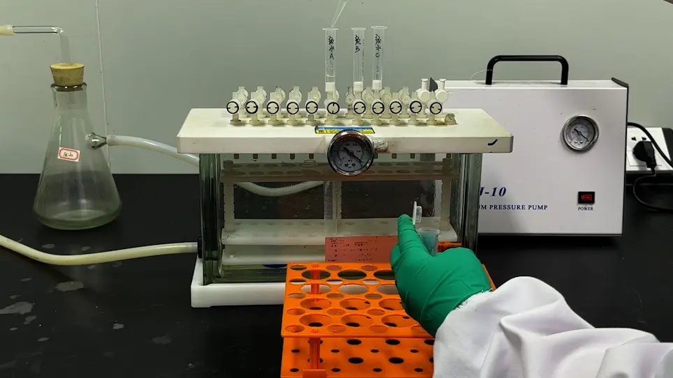 Elucidating the Metabolism of 2,4-Dibromophenol in Plants