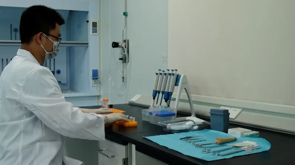 Ameliorating Osteoarthritis in Mice Using Silver Nanoparticles
