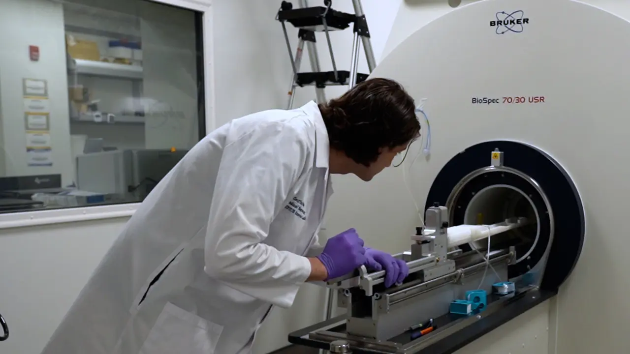 Sonodynamic Therapy for the Treatment of Glioblastoma Multiforme in a Mouse Model Using a Portable Benchtop Focused Ultrasound System