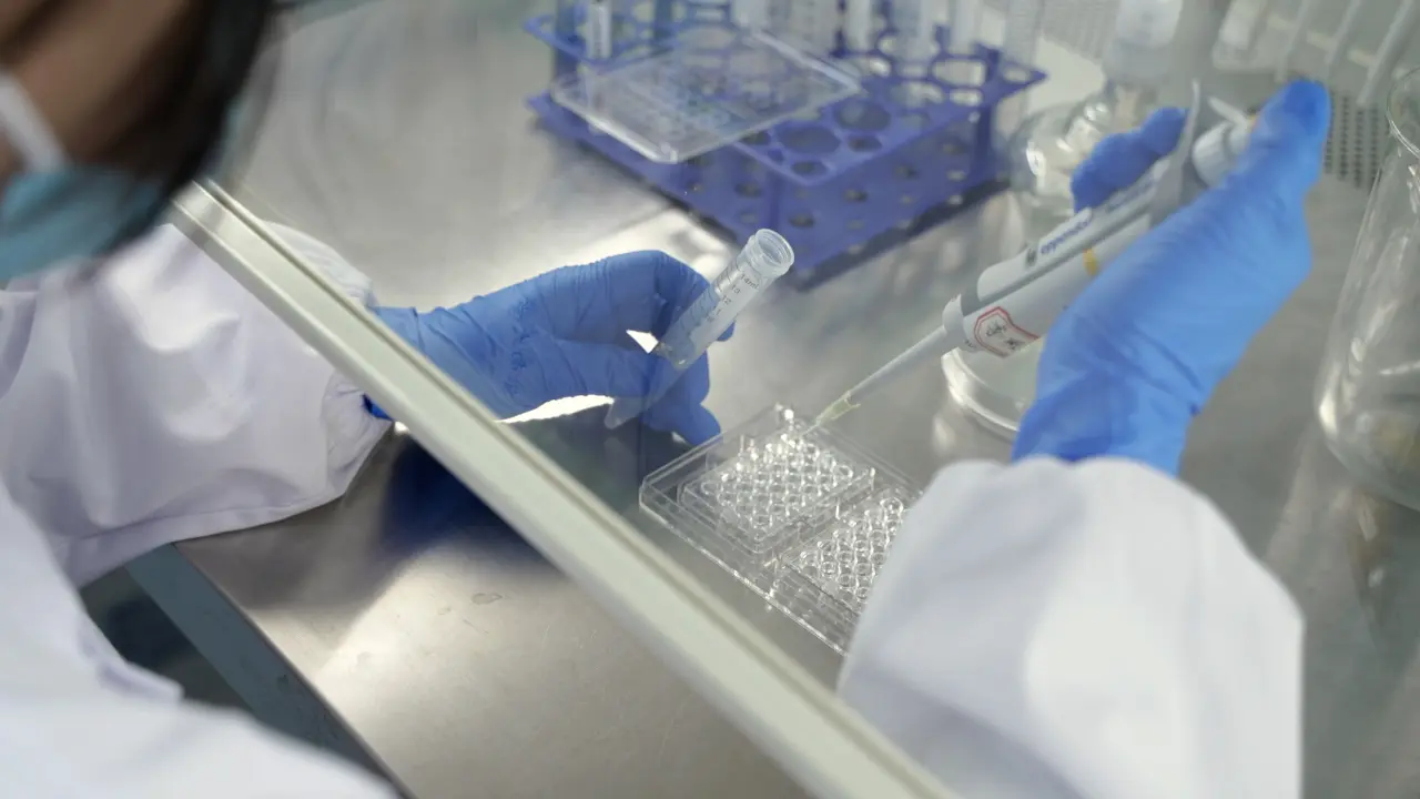 Generation of 3D Tumor Spheroids for Drug Evaluation Studies