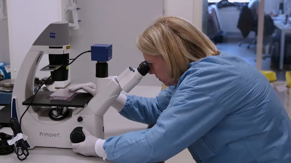 Cell-Based Electrical Impedance Platform to Evaluate Zika Virus Inhibitors in Real Time