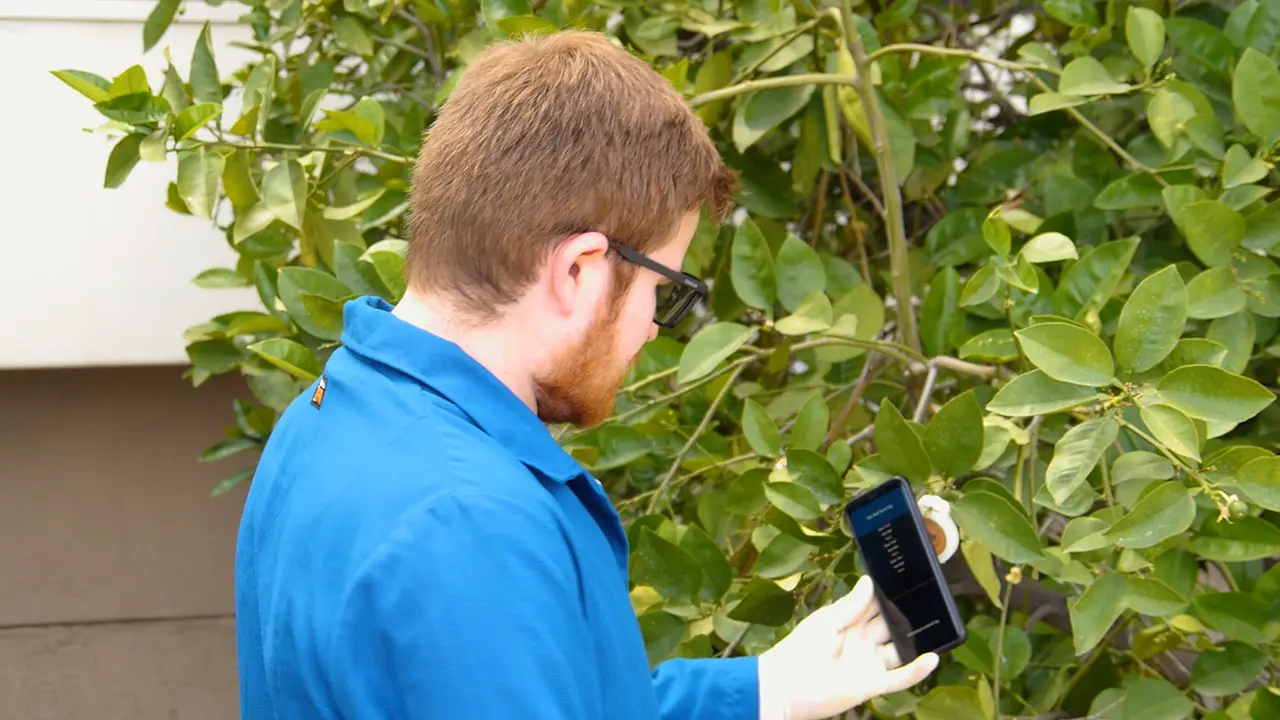Automating Citrus Budwood Processing for Downstream Pathogen Detection Through Instrument Engineering
