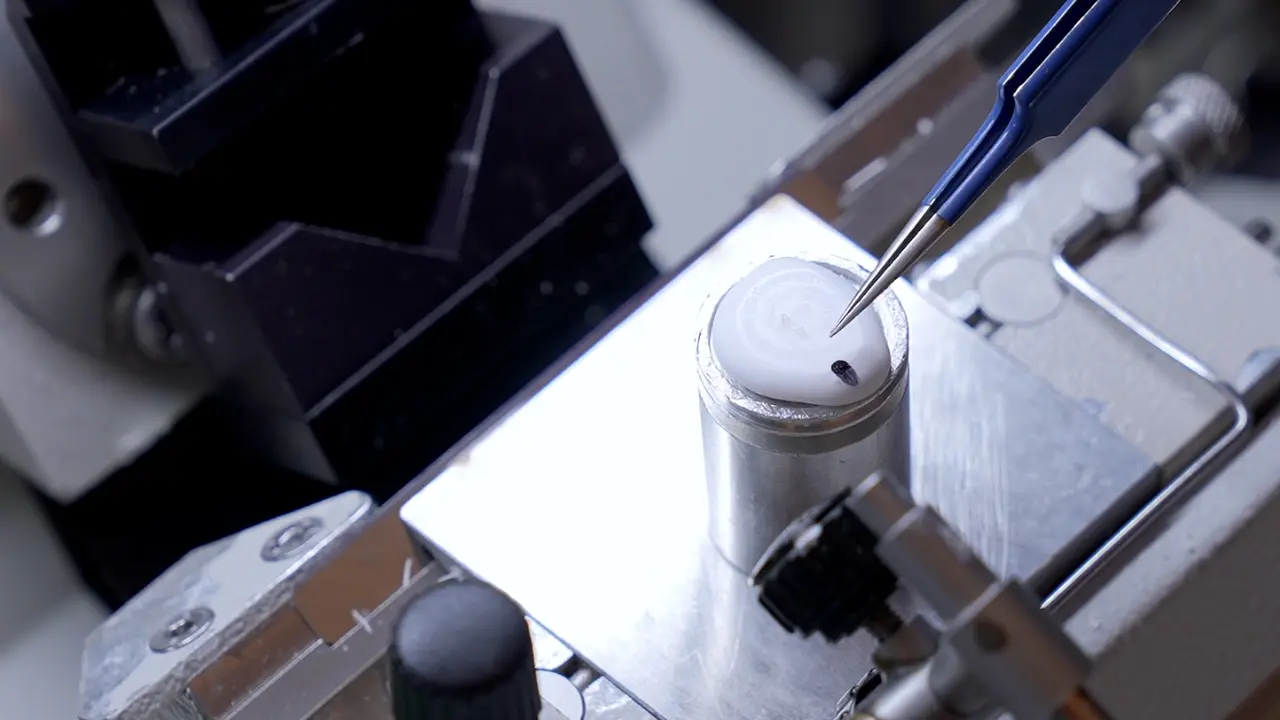 A Procedure for Mouse Dorsal Root Ganglion Cryosectioning