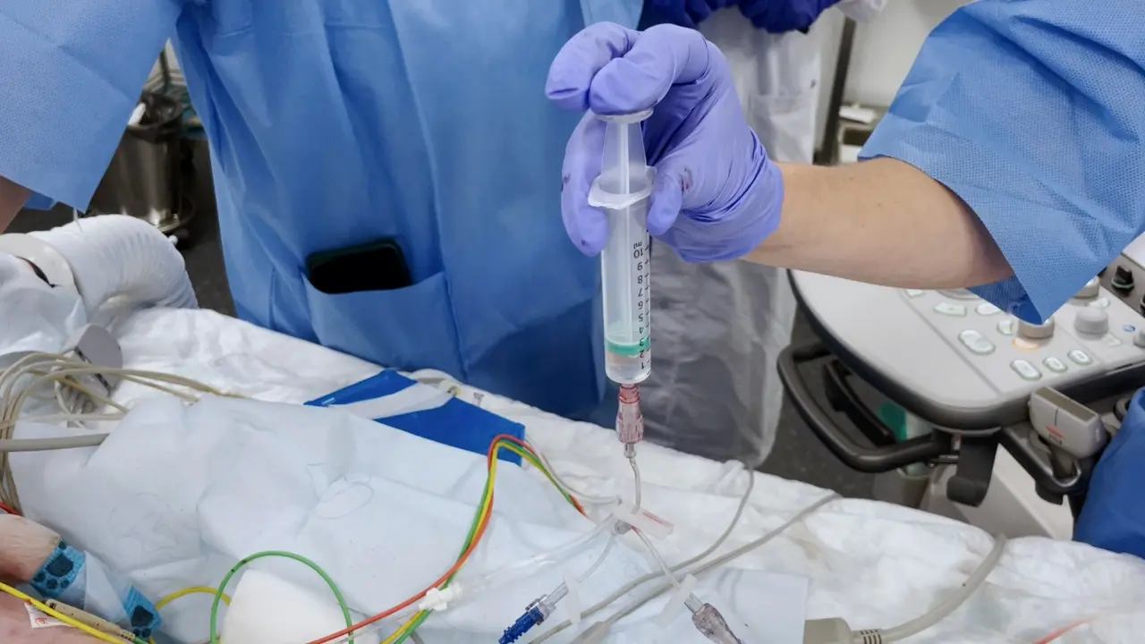 Pediatric Animal Model of Extracorporeal Cardiopulmonary Resuscitation After Prolonged Circulatory Arrest