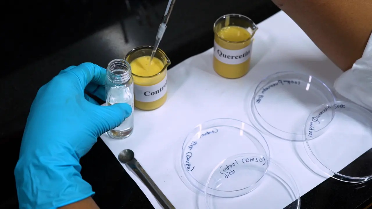 Developing a Feeding Assay System for Evaluating the Insecticidal Effect of Phytochemicals on <em>Helicoverpa armigera</em>