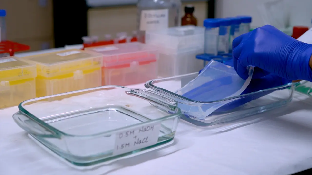 Optimization of Performance Parameters of the TAGGG Telomere Length Assay
