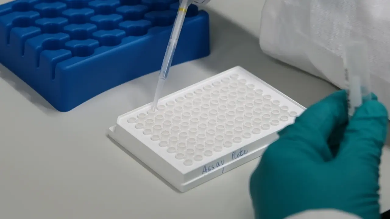 Simultaneous Detection of Different Antibody Classes in a Multiplexed Serological Test