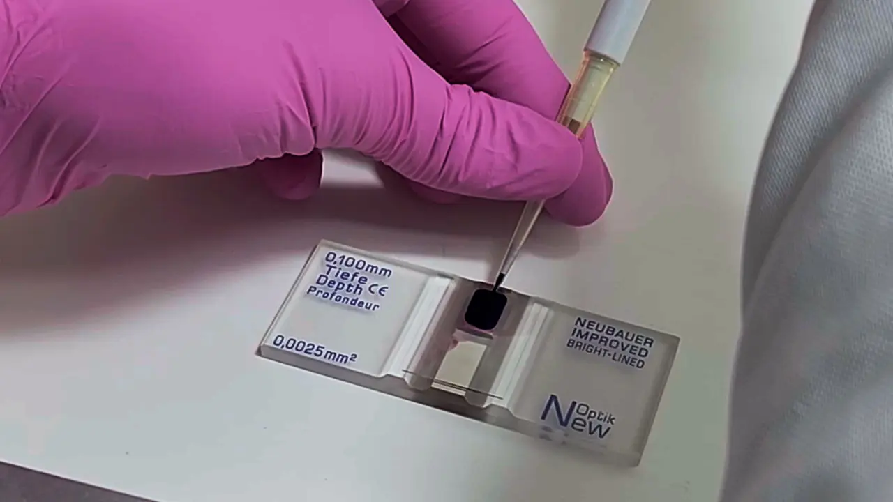 A Set of Screening Techniques for a Quick Overview of the Neutrophil Function