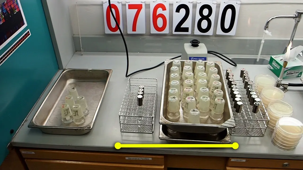 Daily Transfers, Archiving Populations, and Measuring Fitness in the Long-Term Evolution Experiment with <em>Escherichia coli</em>