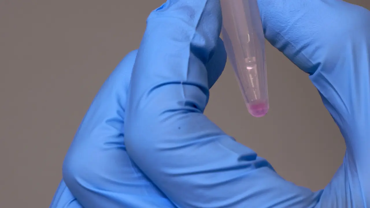 Whole-Mount Fluorescence <em>In Situ</em> Hybridization to Study Spermatogenesis in the <em>Anopheles</em> Mosquito