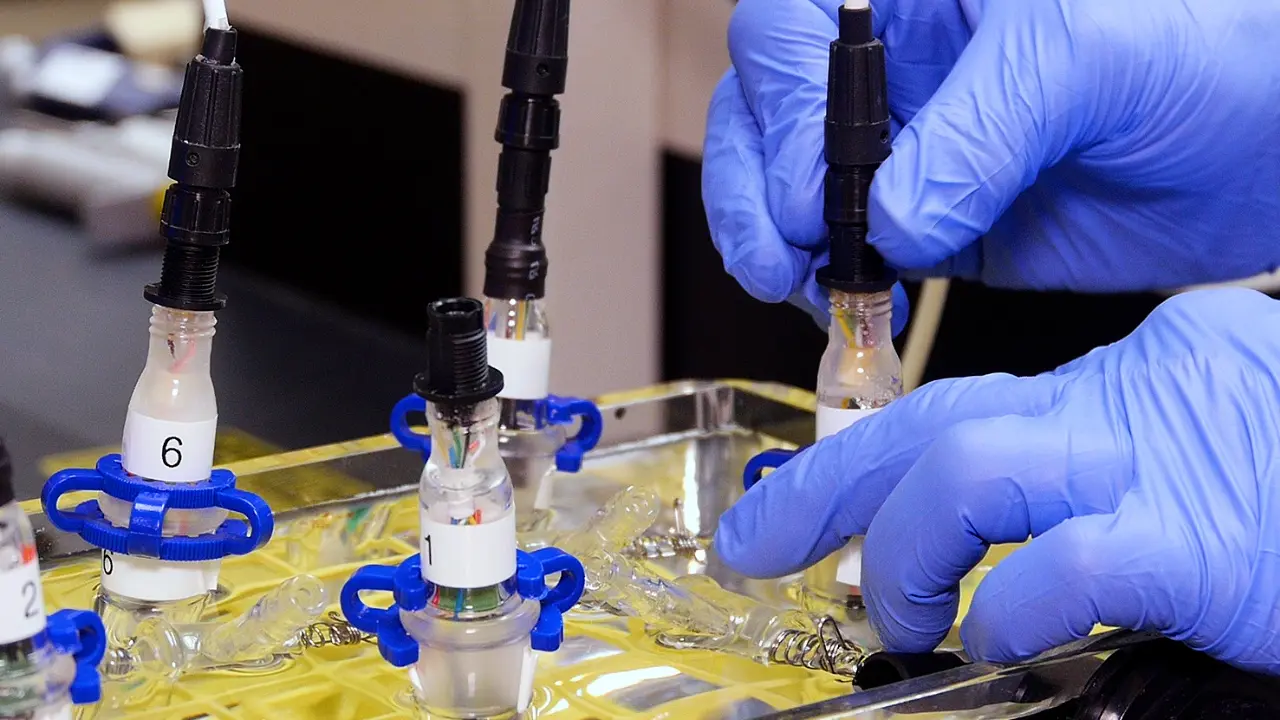 Measuring O<sub>2</sub> Consumption in <em>Drosophila melanogaster</em> Using Coulometric Microrespirometry