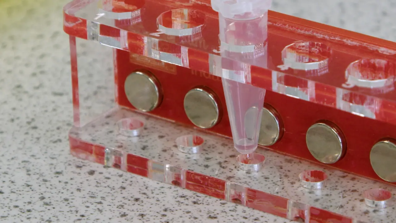 Whole Genome Sequencing for Rapid Characterization of Rabies Virus Using Nanopore Technology