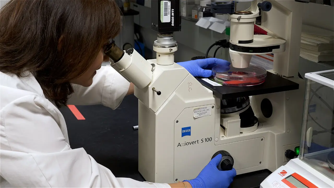 Genetic Profiling and Genome-Scale Dropout Screening to Identify Therapeutic Targets in Mouse Models of Malignant Peripheral Nerve Sheath Tumor