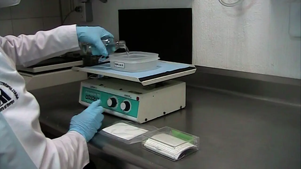 Polymerase Chain Reaction and Dot-Blot Hybridization for <i>Leptospira</i> Detection in Water Samples