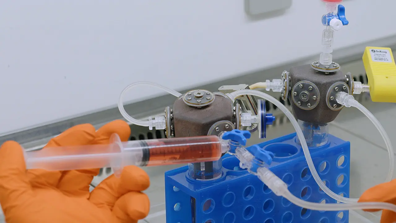 <em>Ex Vivo</em> Perfusion Culture of Large Blood Vessels in a 3D Printed Bioreactor