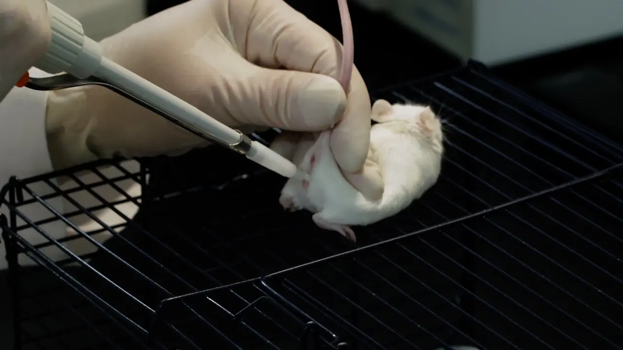 Inducing Pseudopregnancy in Female Mice Without the Need for Vasectomized Males Prior to Non-Surgical Embryo Transfer or Artificial Insemination