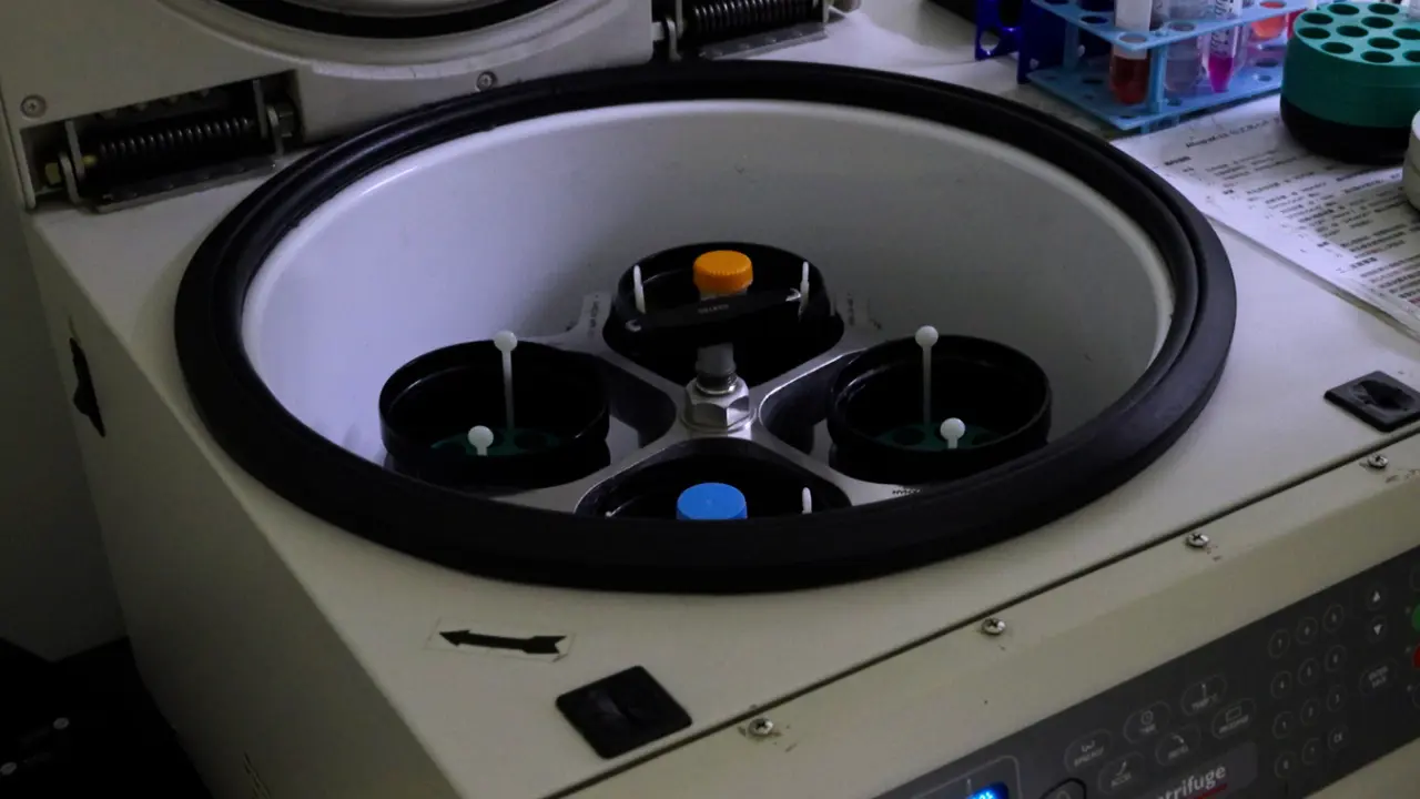 Unique Approach for Isolating Rat Bone Marrow Neutrophils with Comparable Capacity