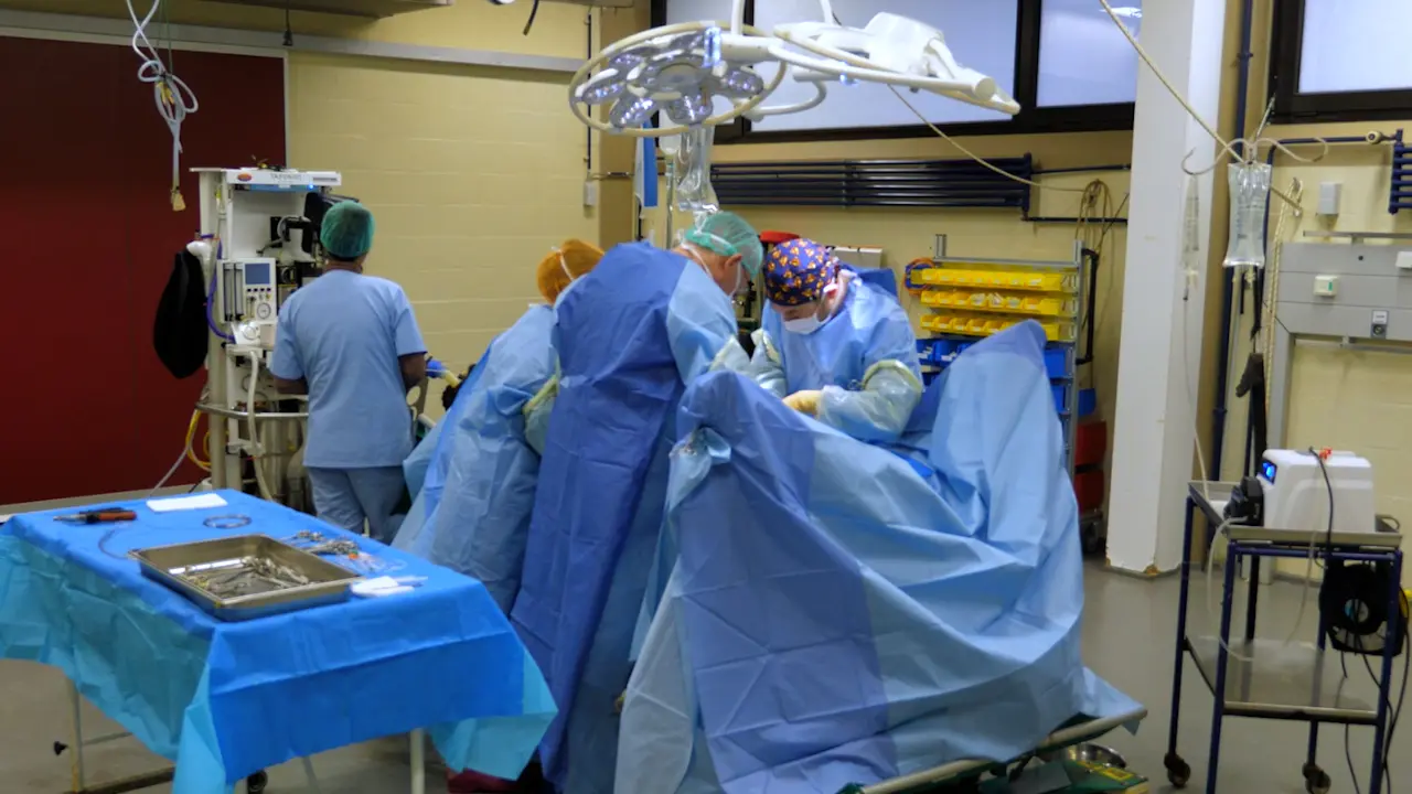 Surgical Closure of Equine Abdomen, Prevention, and Management of Incisional Complications