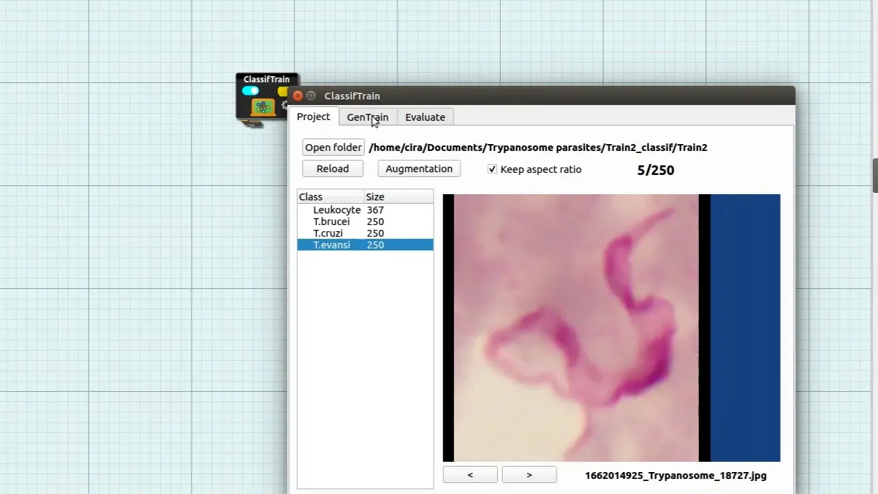 Superior Auto-Identification of Trypanosome Parasites by Using a Hybrid Deep-Learning Model