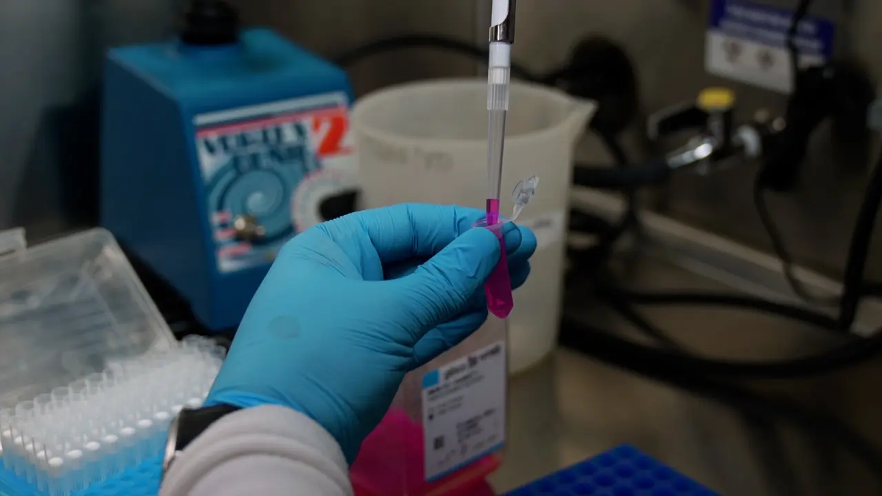 Transgene Expression in Cultured Cells Using Unpurified Recombinant Adeno-Associated Viral Vectors