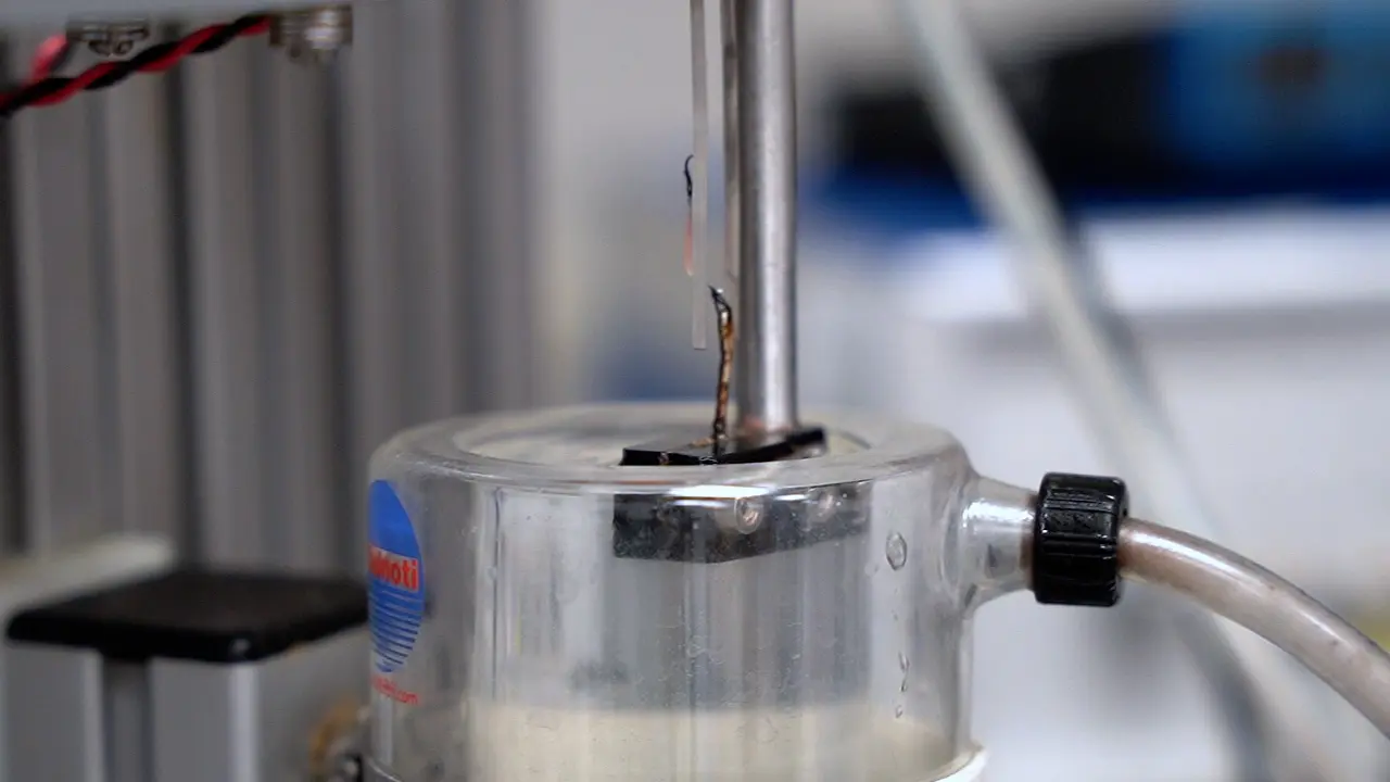 "Avatar", a Modified <em>Ex vivo</em> Work Loop Experiments Using <em>In vivo</em> Strain and Activation