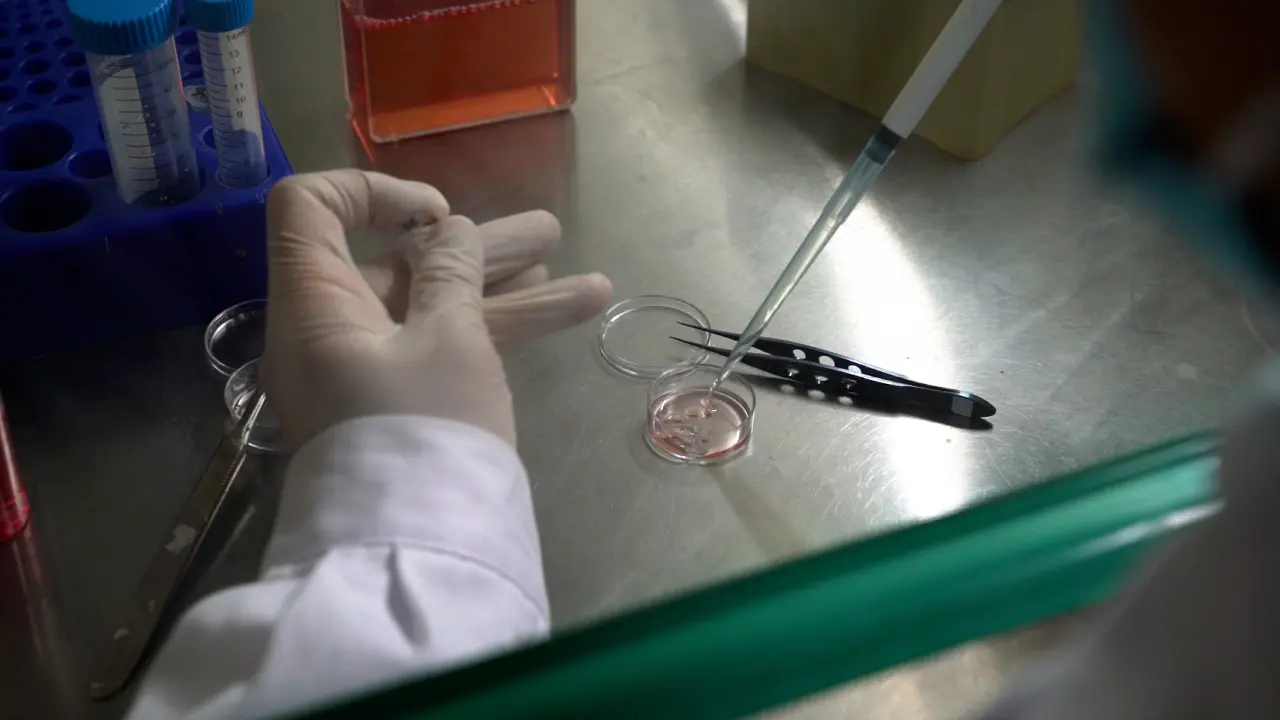 Isolation and Identification of Limbal Niche Cells