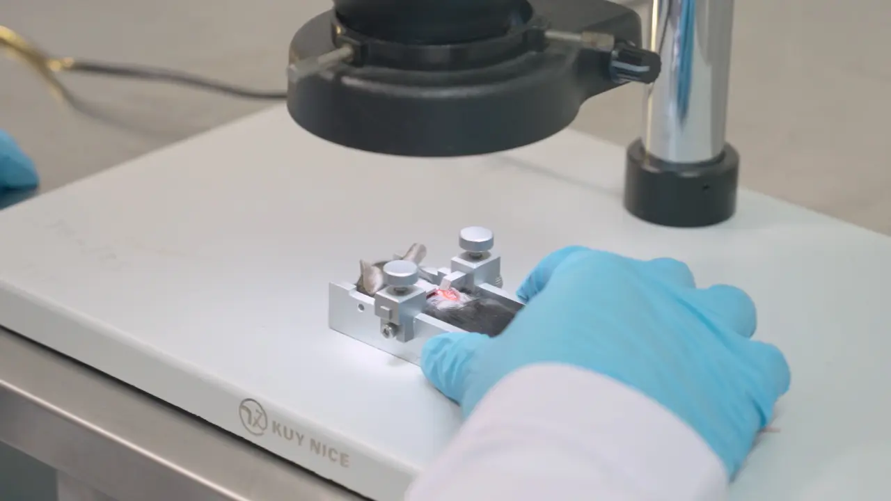 Automated Impactor for Contusive Spinal Cord Injury Model in Mice
