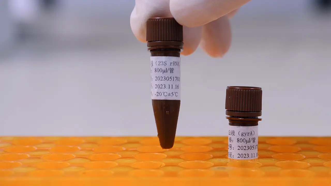 Quantitative Polymerase Chain Reaction (qPCR)-Based Rapid Diagnosis of <em>Helicobacter pylori</em> Infection and Antibiotic Resistance