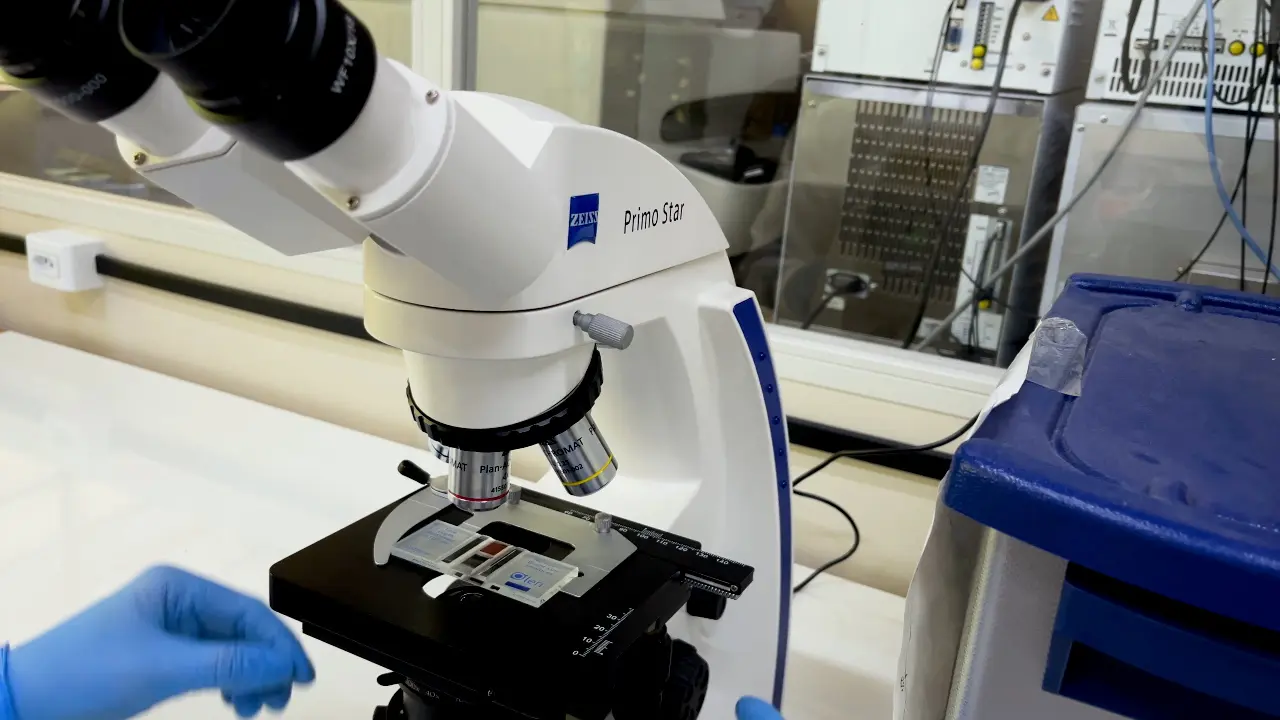 Electronic von Frey associated with the Mouse Grimace Scale to Assess Allodynia and Pain in <em>Trypanosoma evansi</em>-Infected Mice
