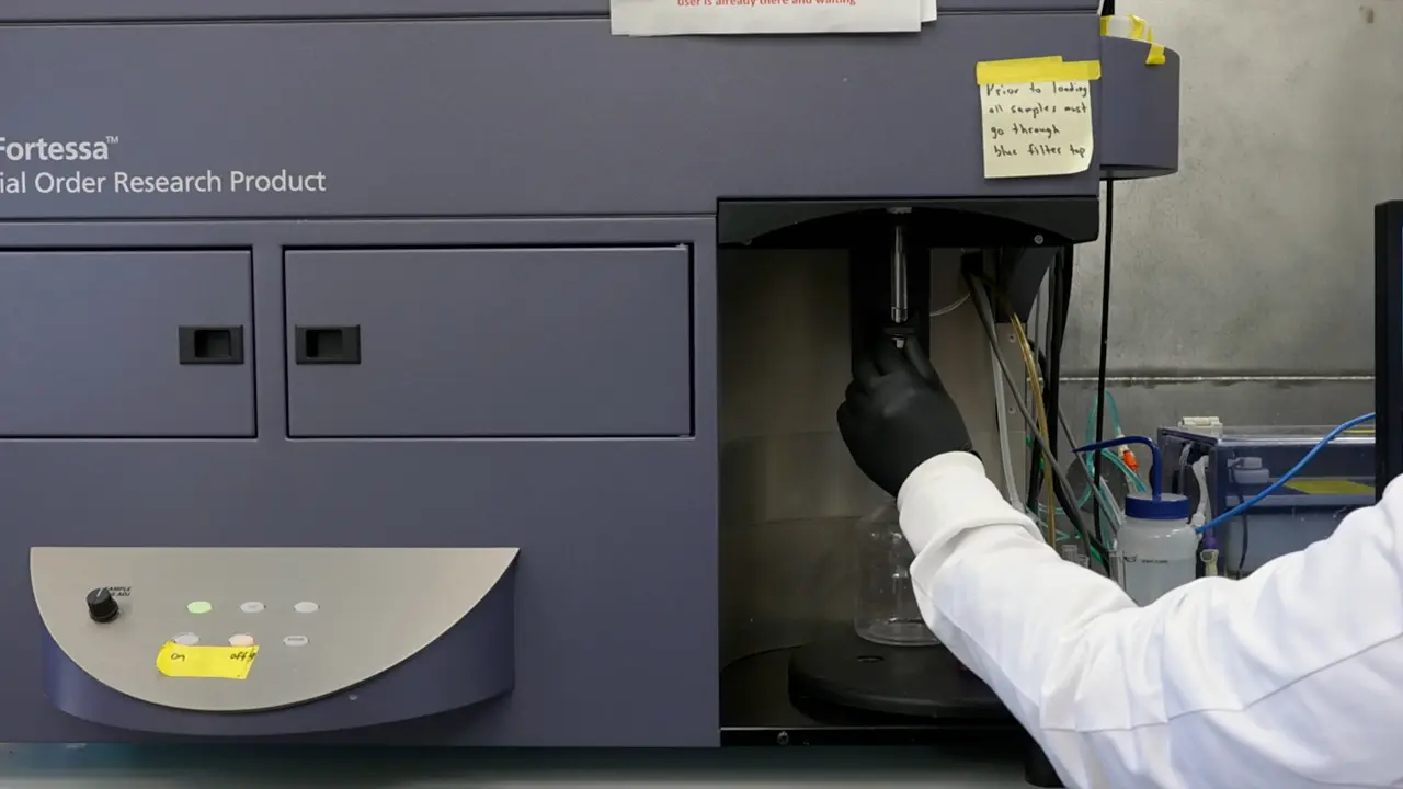 Tracking miRNA Release into Extracellular Vesicles using Flow Cytometry