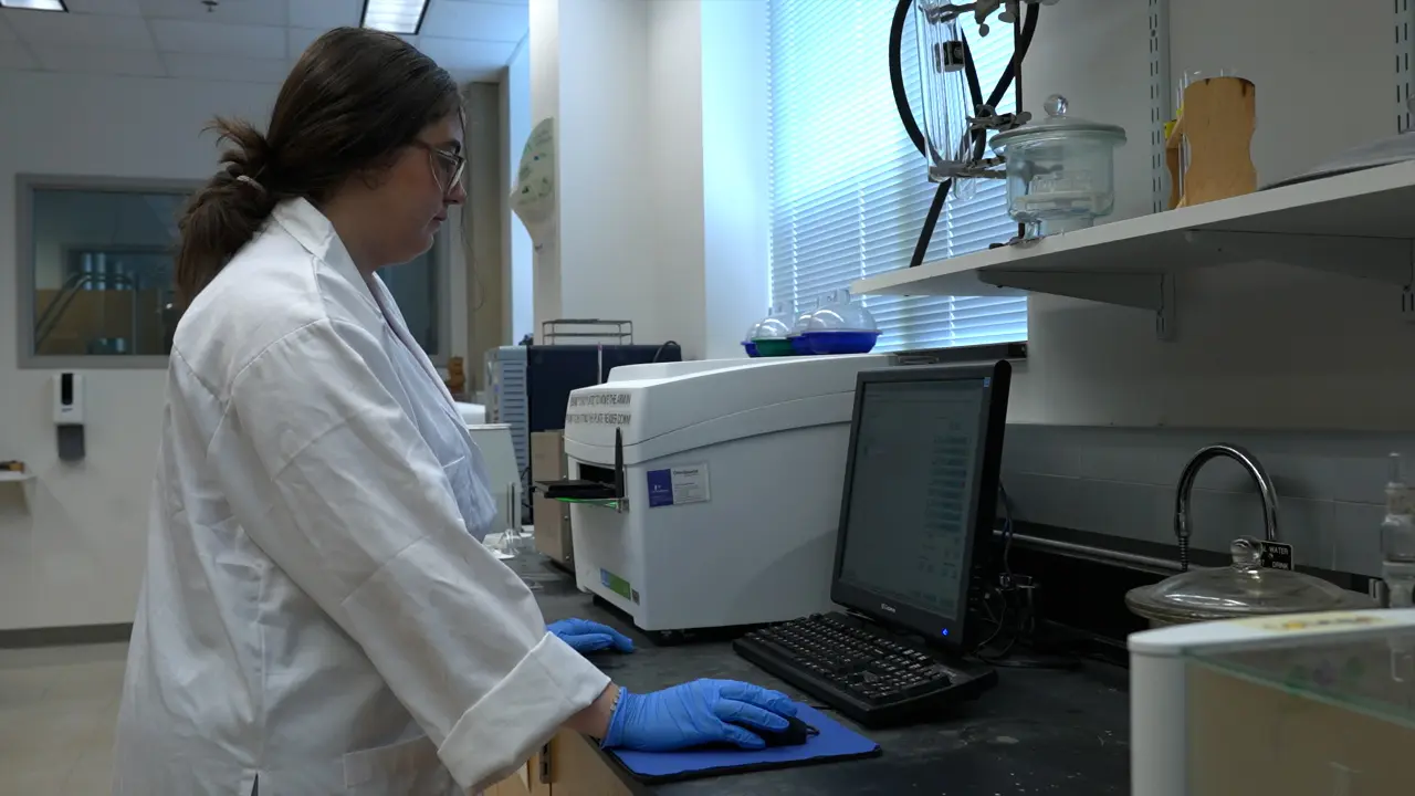 Assessment of Mitochondrial Oxygen Consumption Using a Plate Reader-based Fluorescent Assay