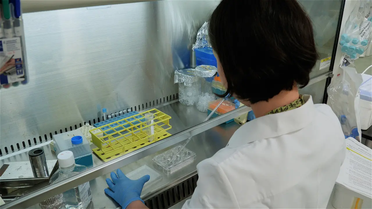 Application of Live Mitochondria Staining in Cell-Sorting to Purify Hepatocytes Derived from Human Induced Pluripotent Stem Cells