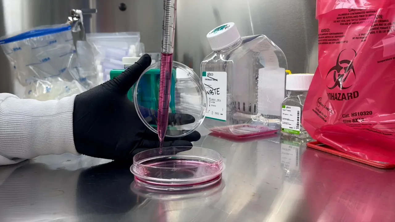 Application of Ha-CoV-2 Pseudovirus for Rapid Quantification of SARS-CoV-2 Variants and Neutralizing Antibodies
