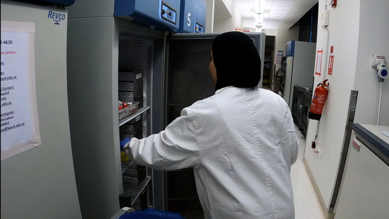 Development of Multiplex Real-Time RT-qPCR Assays for the Detection of SARS-CoV-2, Influenza A/B, and MERS-CoV