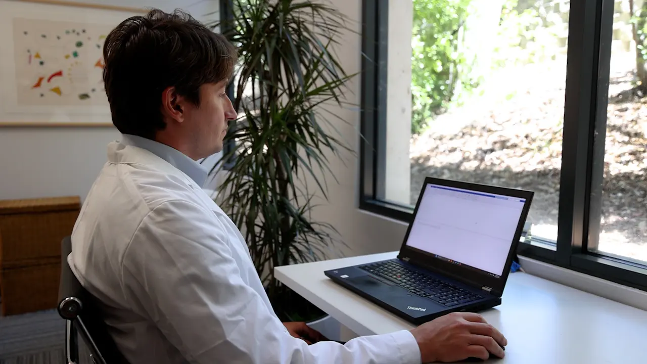 BrainBeats as an Open-Source EEGLAB Plugin to Jointly Analyze EEG and Cardiovascular Signals