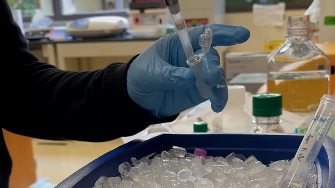 Optimized Nuclei Isolation from Fresh and Frozen Solid Tumor Specimens for Multiome Sequencing