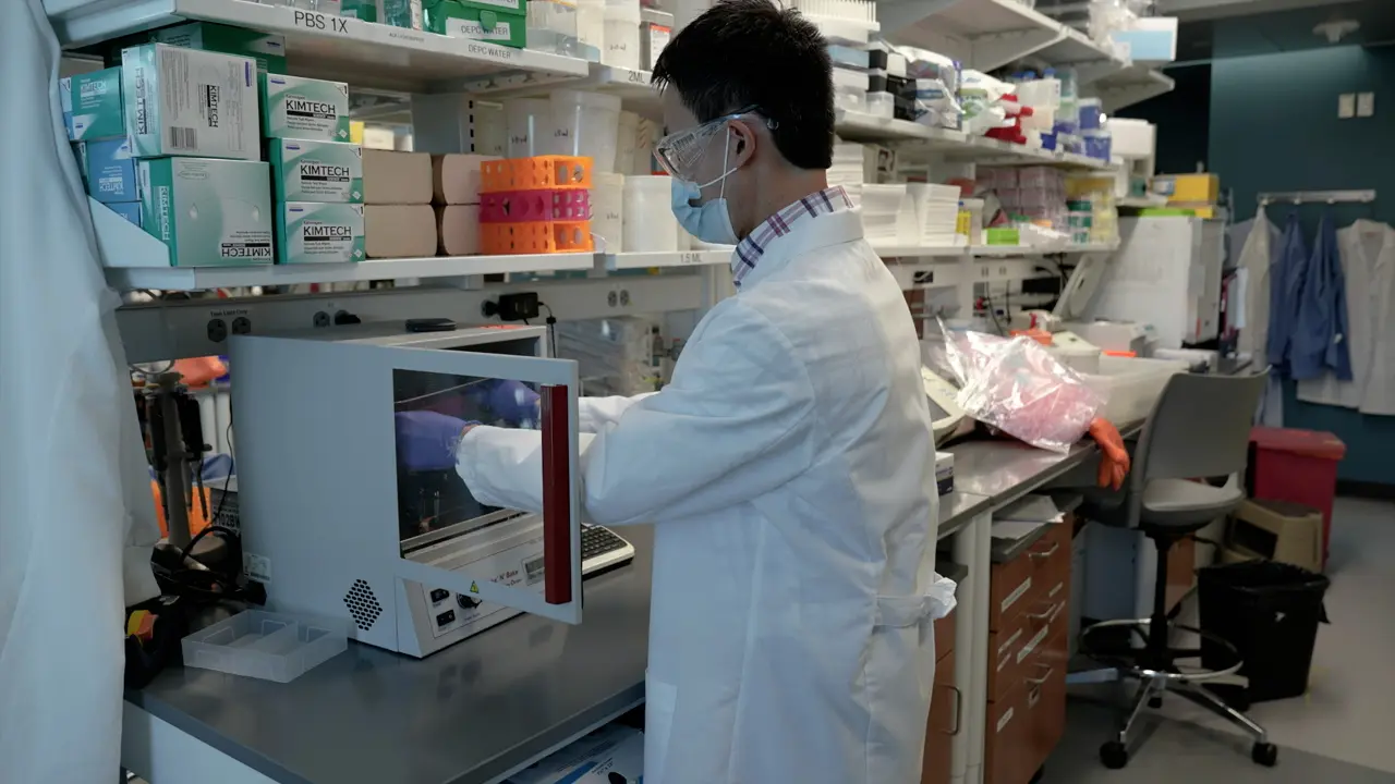 Extracellular Vesicle Tissue Factor Activity Assay