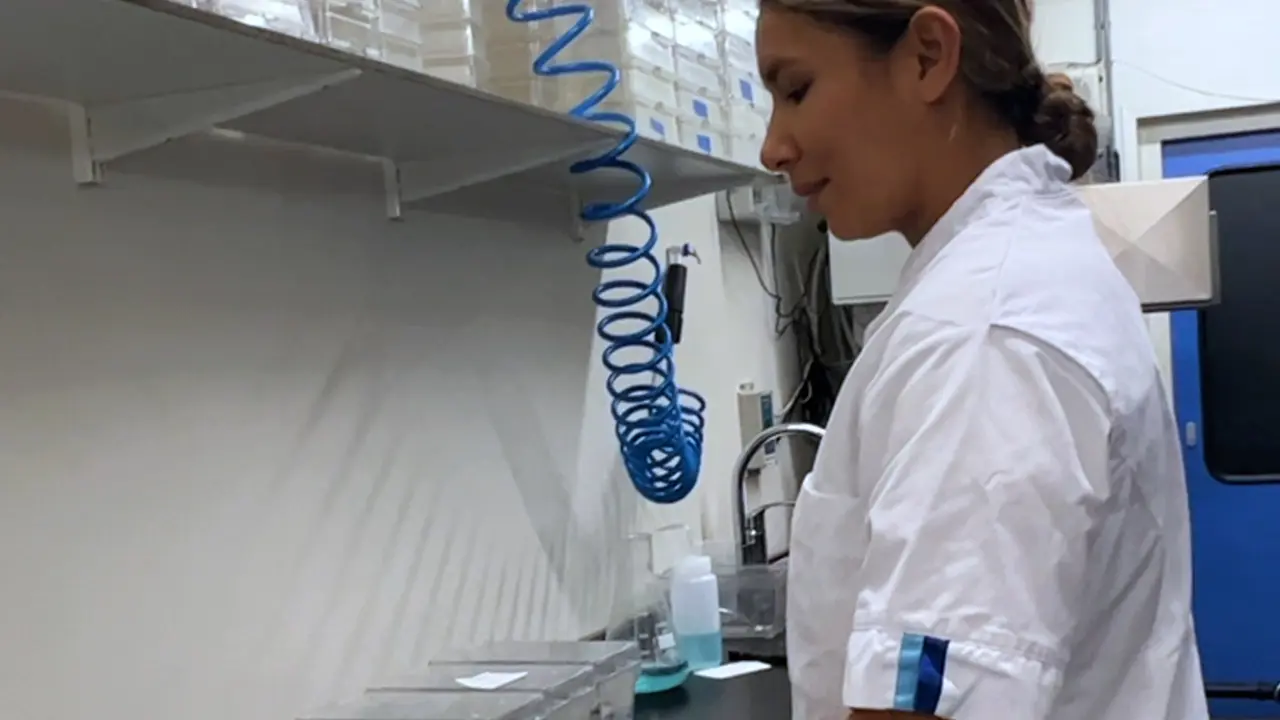 Gut Isolation from Zebrafish Larvae for Single-cell RNA Sequencing