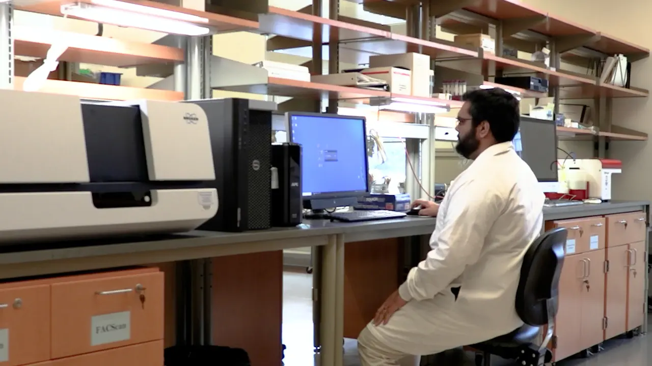 Optimization of the Ligature-induced Periodontitis Mouse Model for Preclinical Research
