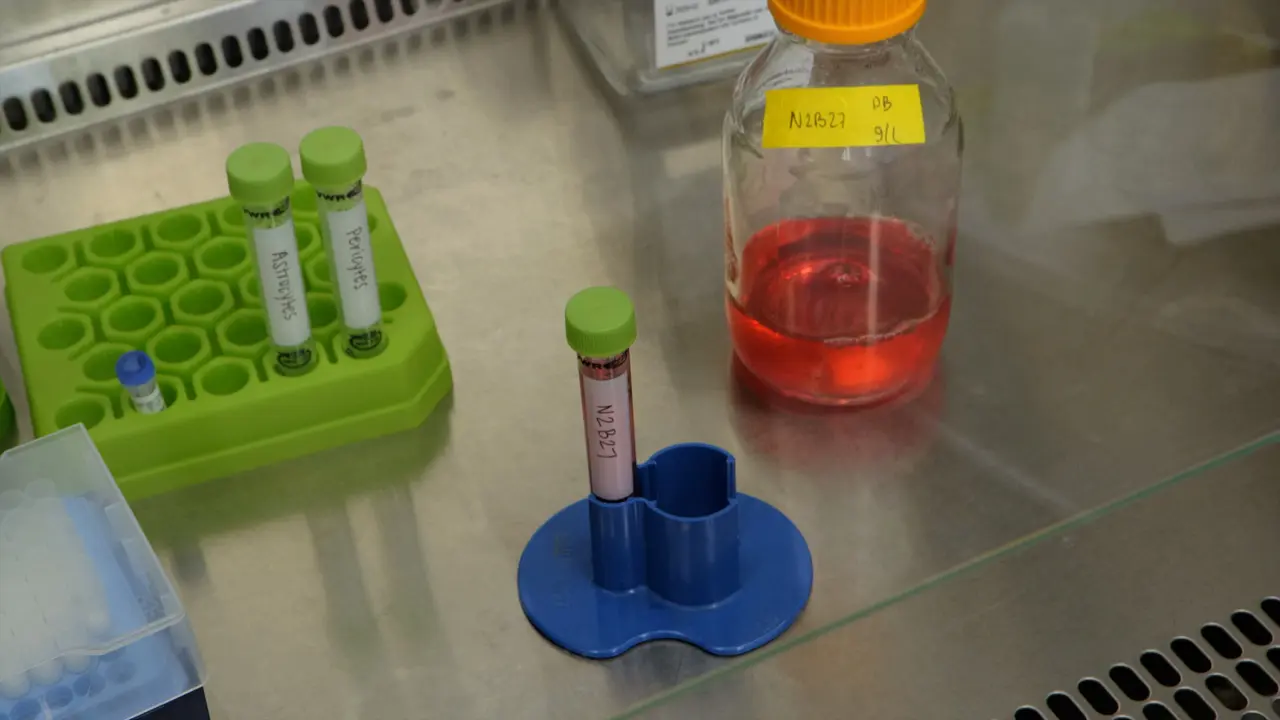 Reconstruction of the Blood-Brain Barrier <em>In Vitro</em> to Model and Therapeutically Target Neurological Disease