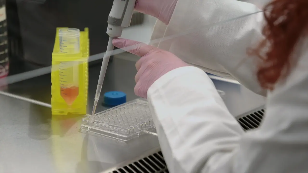 Cost-Efficient Transcriptomic-Based Drug Screening