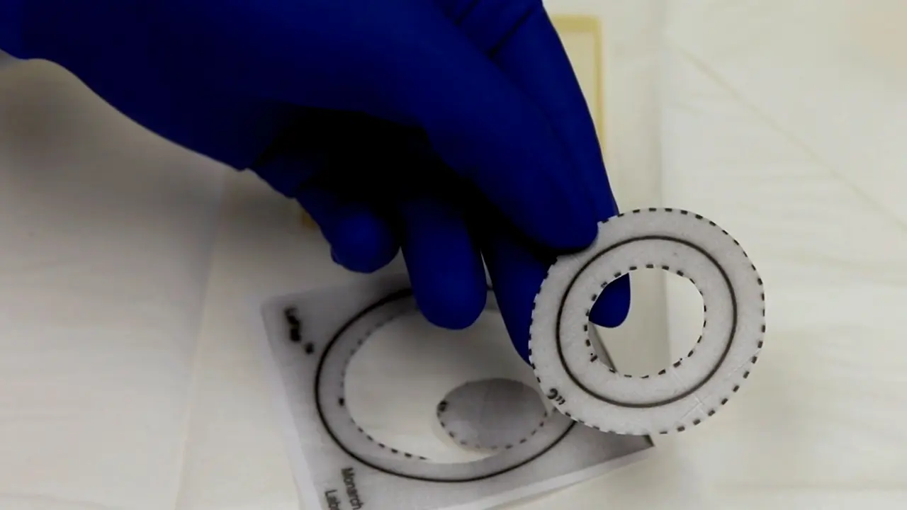 A Model for Experimental Exposure of Humans to Larval <em>Ixodes scapularis</em> Ticks