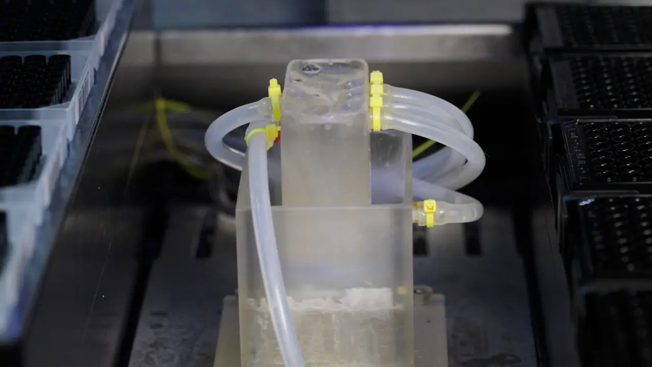 A Practical Guide to Phage- and Robotics-Assisted Near-Continuous Evolution