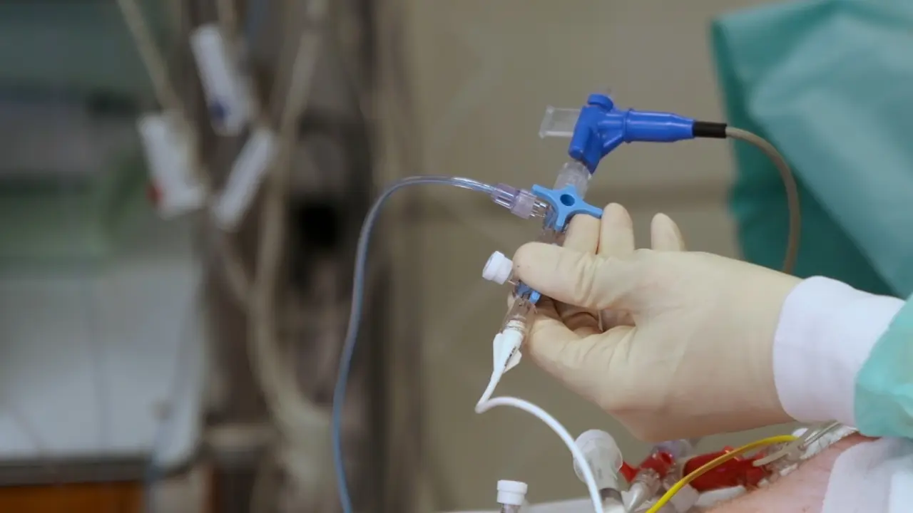 Lipopolysaccharide Infusion as a Porcine Endotoxemic Shock Model