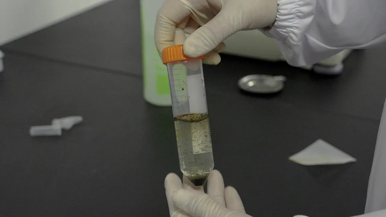 Establishment of Coloproctitis Cancer Model in Mice and Evaluation of Therapeutic Effect of Chinese Medicine