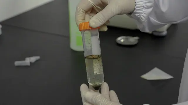 Establishment of Coloproctitis Cancer Model in Mice and Evaluation of Therapeutic Effect of Chinese Medicine