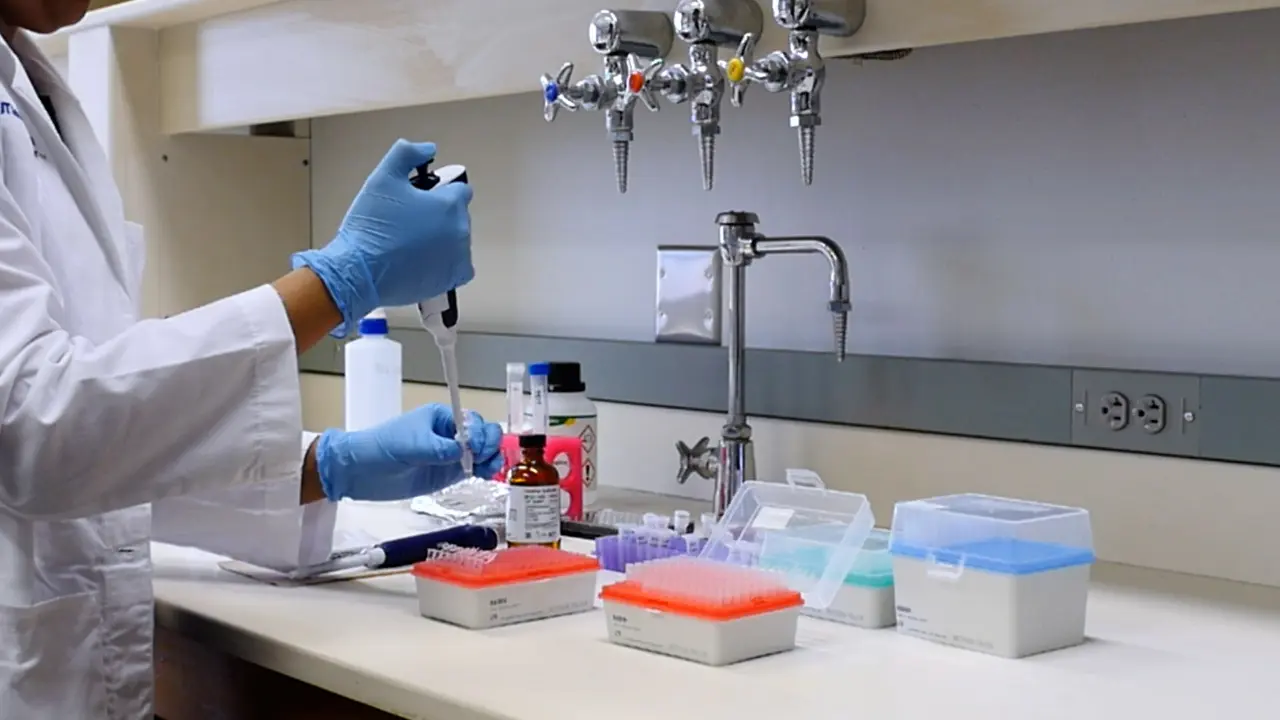 An Acetyl-Click Chemistry Assay to Measure Histone Acetyltransferase 1 Acetylation