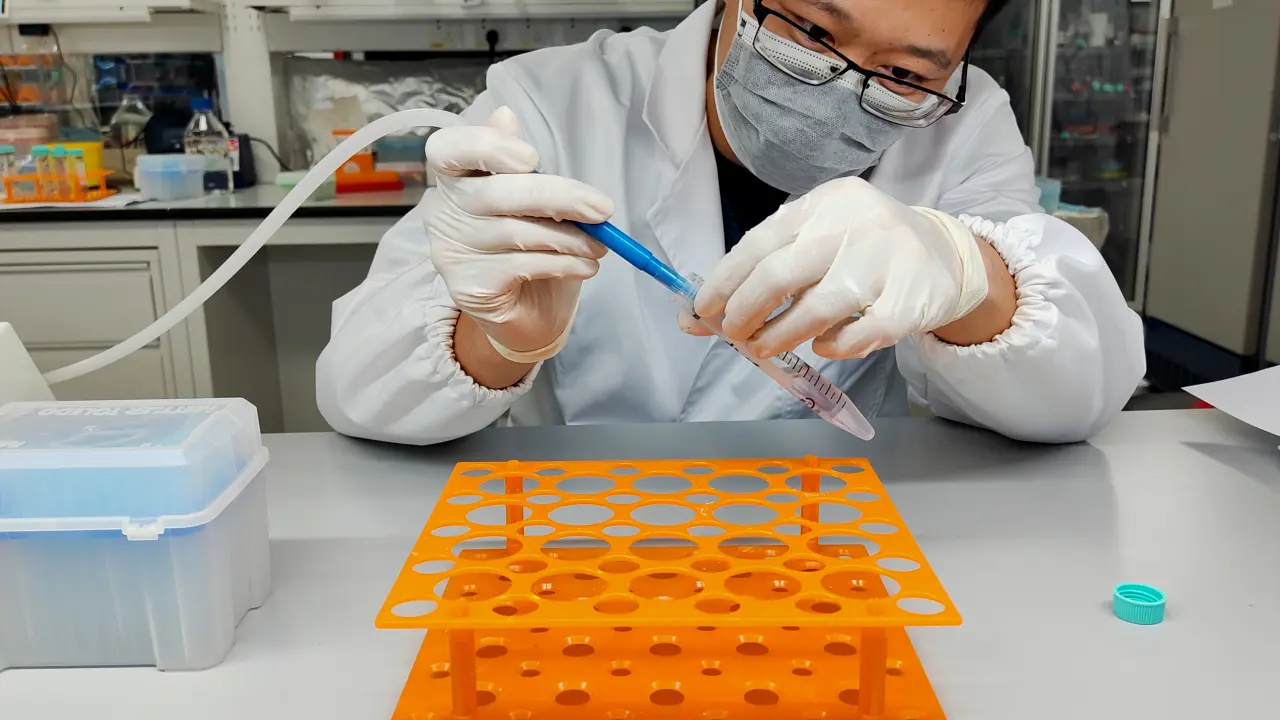 Using Cleavage Under Targets and Tagmentation (CUT&Tag) Assay in Mouse Myoblast Research