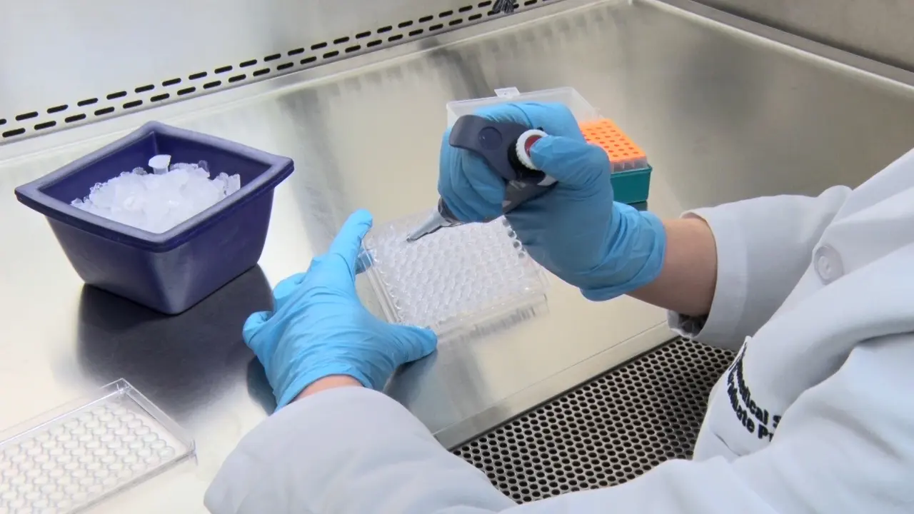 Multiplexed Live-Cell Imaging for Drug Responses in Patient-Derived Organoid Models of Cancer